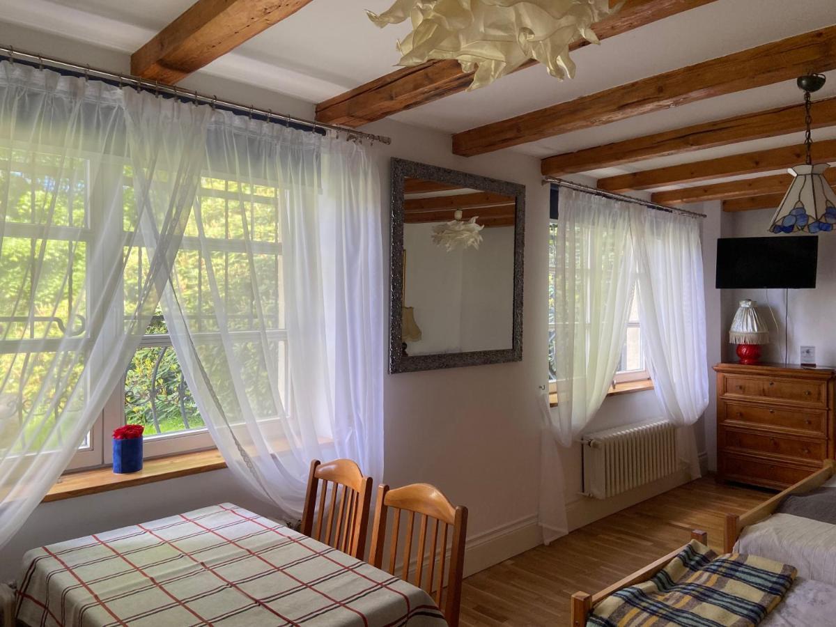 Villa Parkowa 5 Świeradów-Zdrój エクステリア 写真